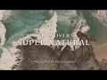 Turnover - Super Natural [LYRICS]