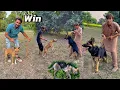 Pitbull Win Kar Gaya German Shepherd Sa