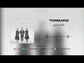 Download Lagu gamaliél - Terbang (Official Audio)