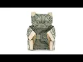 Origami Dollar bill Teddy Bear Jodi Fukumoto