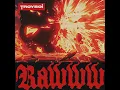 RAWWW - TroyBoi