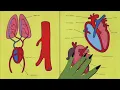 L'Impératrice — Hématome