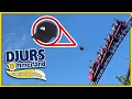 Download Lagu FØRSTE VLOG - TABER MIN KASKET I PIRATEN DJURS SOMMERLAND • Dansk