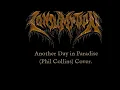 Consumption - Another Day In Paradise (Phil Collins) cover.