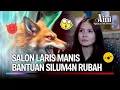 Lagu Silum4n Rubah Minta 33 Jiwa Untuk Lariskan Salonku! | Aini Malaikat Tak Bersayap Ep 210 (FULL)
