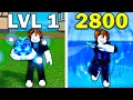 Noob To Max With CONTROL REWORK In Blox Fruits