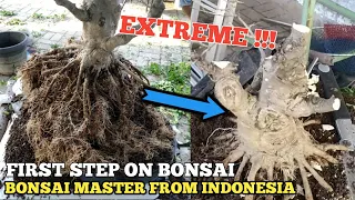 Download EKSTRIM!! MEMBENTUK GERAK DASAR BONSAI ANTING PUTRI OLEH SENIMAN RUDI PLUIT MP3