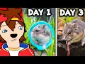 Lagu Can A Hamster Survive in The Wild?? | Kenji Reacts