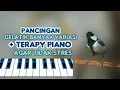 Download Lagu burung gelatik batu penuh variasi masteran siulan terapi suara piano anti stres