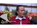Download Lagu Pelanggan Supermarket - CNL 20 September 2015