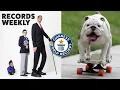 Download Lagu Tallest Meets Shortest and Skateboarding Bulldogs | Records Weekly - Guinness World Records
