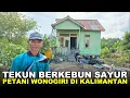 Download Lagu DARI WONOGIRI KE KALTARA, KISAH PAK JUMIRAN BERTAHAN HIDUP DENGAN BERKEBUN SAYUR