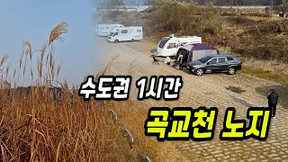수도권에서 단 1시간! 갈대와 억새가 어우러진 아산 곡교천 노지 썸네일