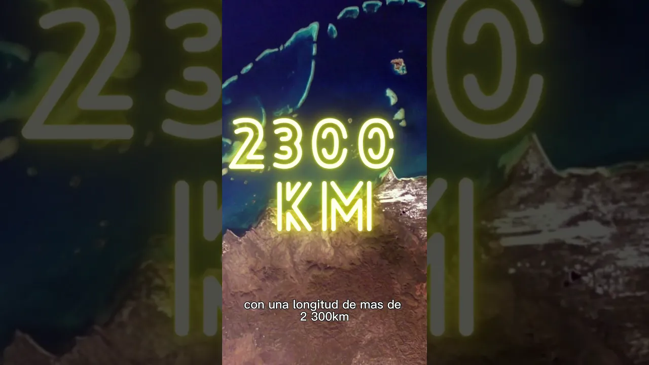 Corales desde el espacio?... Datos Flash...Pt 1 #cosasquenosabias #curiosidades #viral