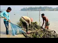 Lagu Alive fish catching from the river use ancient fishing method. নদীর বোয়াল মাছ ধরার প্রাচীন পদ্ধতি।