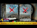Download Lagu Rodalia no funciona bé cap dia entre els mesos de juliol i agost. Cap dia /2025 09 09