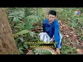Download Lagu minta nomor togel di pohon keramat