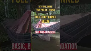 WAKING UP IN THE FOREST