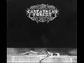 Carpathian Forest-Black Shining Leather