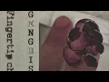 Genghis Cohn - Butterflies