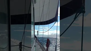 The Last Thing We Expected in Luwuk