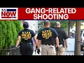 Download Lagu Brooklyn nightclub shooting: 2 of 3 killed were suspected gang-related gunmen