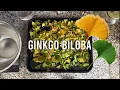 How To Make A Ginkgo Biloba Brain Boosting Extract In Your Kitchen