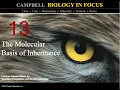 Biology in Focus Chapter 13 The Molecular Basis of Inheritance