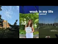 first week of class at hofstra university