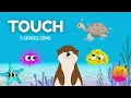 Download Lagu TOUCH | 5 Senses Song Kids Song | Preschool | Kindergarten | Learn the Feeling of Touch Vocabulary