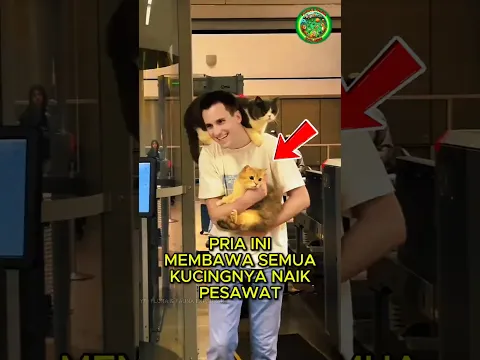 Pria Ini Membawa Semua Kucingnya Naik Pesawat Dan Membuat Semua Orang Terkejut 🐈♥️