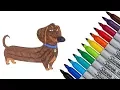 The Secret Life of Pets Buddy Coloring page 2017 New for Kids