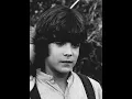 Matthew Labyorteaux Interview Biography