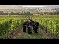 ๐ Divine Stillness: Gregorian Voices for Peaceful Night, Prayer, and Spiritual Renewal โ๏ธ