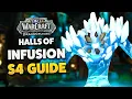 HALLS OF INFUSION M DUNGEON GUIDE S4 Dragonflight