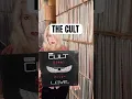 Download Lagu The Cult-Love #vinyl #records #thecult #rockmusic #rock