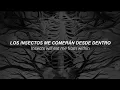 Insects - Mr Kitty Sub espanol