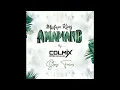 Download Lagu Dj COLMIX FEAT REFLEX  - Mixtape King Amapiano
