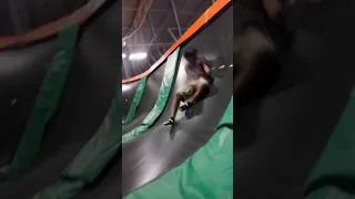 My first time at Rocket Jump trampoline park