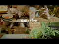 cozy vlog stationary shopping cocos kittens are born uncomfy unboxing