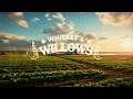 jason aldean - drowns the whiskey (ft. miranda lambert) / lyrics