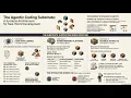 Your AI Coding Agent Isn t the Problem Your Infrastructure Is