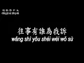 【唱歌學中文】►蔡琴 / 最後一夜◀ ► Cai Qin / The final night ◀『我也曾陶醉 在兩情相悅 像飛舞中的彩蝶』【動態歌詞中文、拼音Lyrics】