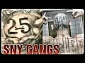 SNY GANGS THE MEANING AND DOWNFALLS