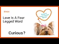 Wag On Over To Petland Lewis Center