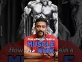 Download Lagu How often to Train a Muscle in a Week ?? #shorts