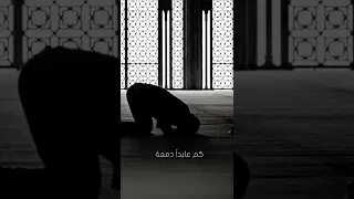 عباد ليلا أذا جن الضلام بهم الشيخ خالد الراشد حلات واتساب دينية بدون حقوق 