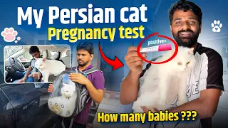 Finally எங்க ZooZoo க்கு 😻 Pregnancy Test பண்ணியாச்சு 😱 | Babies Count ???? 