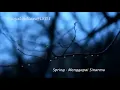 Download Lagu Spring menggapai sinarmu original song
