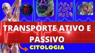 TRANSPORTE ATIVO E PASSIVO - TRANSPORTE PELA MEMBRANA PLASMÁTICA - CITOLOGIA - ENSINO SUPERIOR